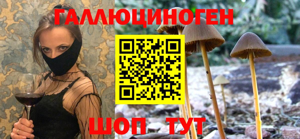 Галлюциногенные грибы мухоморы Орёл